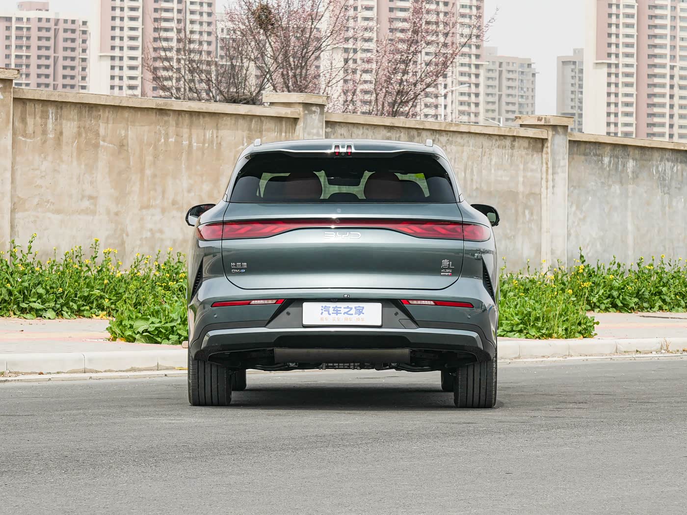 BYD Tang L DM 200km 4wd Lidar Flaghsip Model view 6