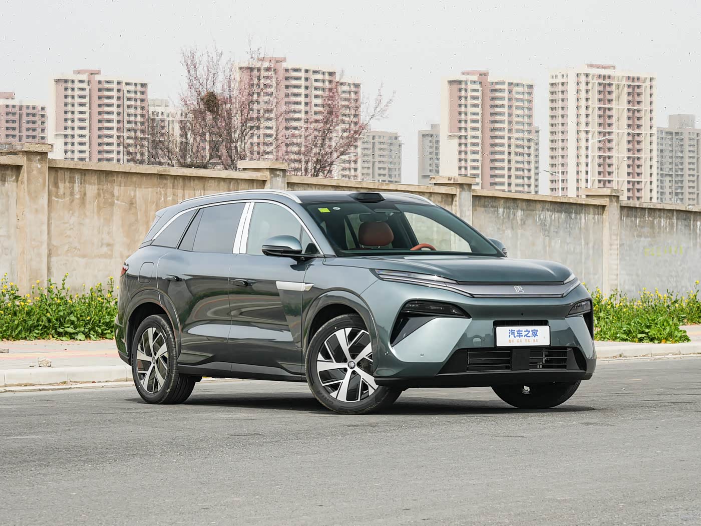 BYD Tang L DM 200km 4wd Lidar Flaghsip Model view 2